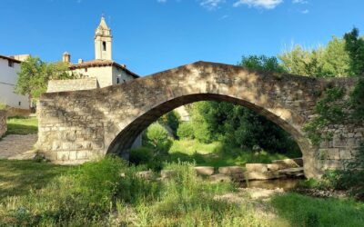 Fortune favours Fortanete