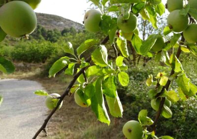 Jones' Jaunts - Walking in Spain