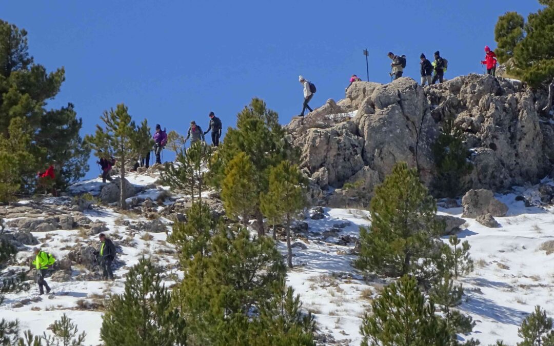 A clerical climb; meet the bishop at 2,014 metres