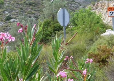 Jones' Jaunts - Walking in Spain