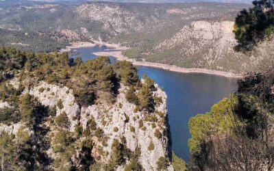 Morrón manoeuvres; part 2