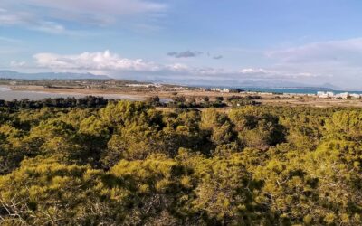 Discover the secrets of the lagoons