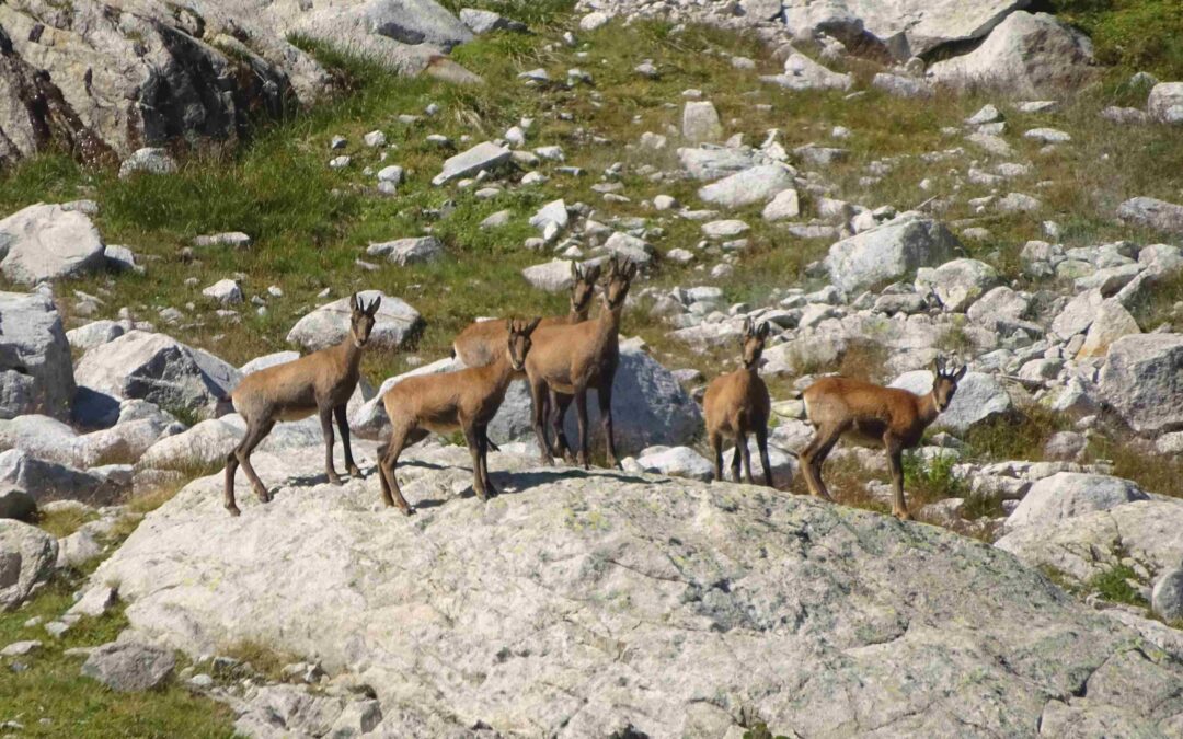 Spain – world leader for biosphere reserves
