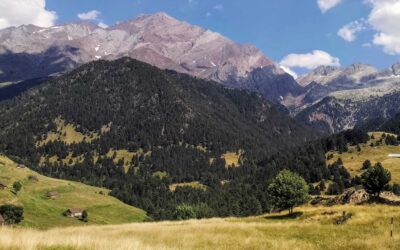 On high in the Chistau valley