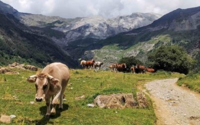 Happy as Larri; the waterfall walk
