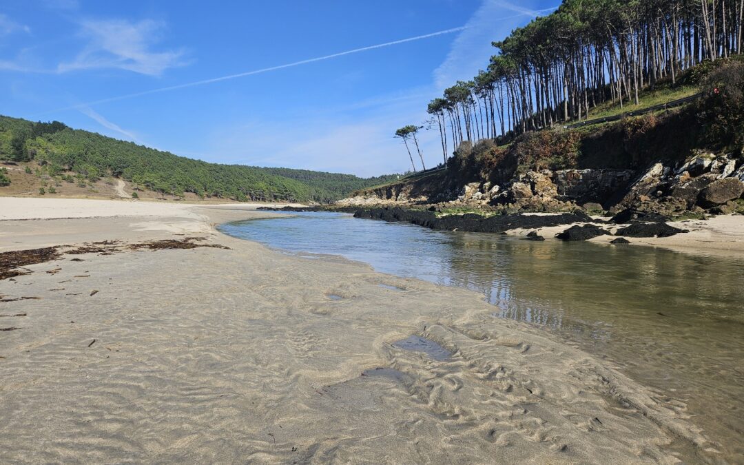 Coast of Death – Day 7 (part 2)