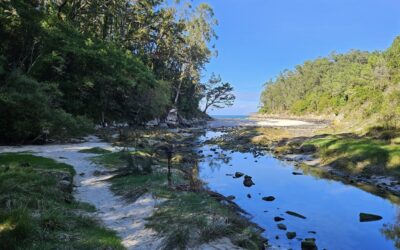 Coast of Death – Day 6 (part 2)