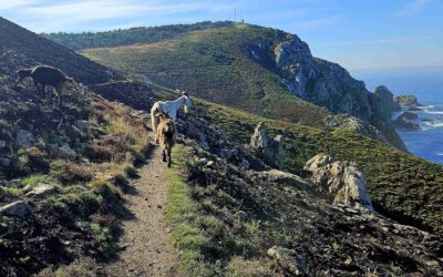 Coast of Death – Day 8 (part 2)