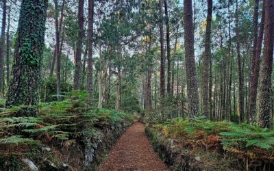 Coast of Death – Day 8 (part 1)