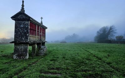 Pilgrim practicalities