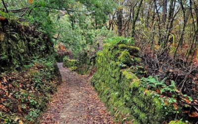 Cross-border ‘camino’; stage 6 (part 2)