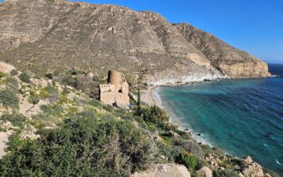 Cabo de Gata – day 3 (part 2)
