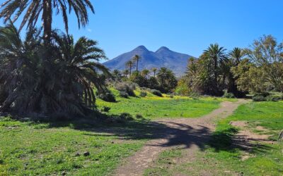 Cabo de Gata – day 4 (part 1)
