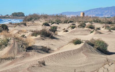 Cabo de Gata – day 6