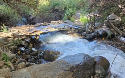 The Poqueira ravine