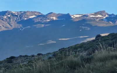 Up to La Hoya