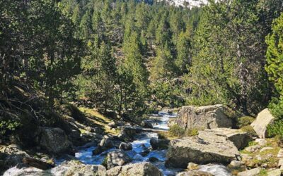Alicante to Andorra; a walk to the border